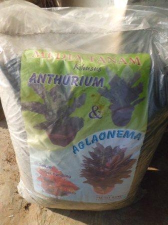 14075463061117806745 14075463061117806745