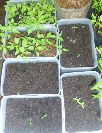 14075463851270270140 14075463851270270140