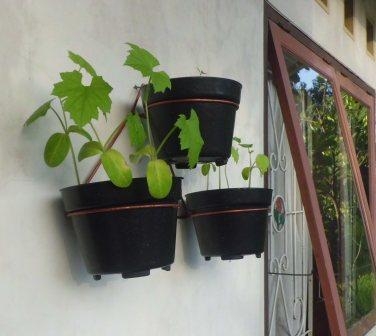 14075464432125144449 14075464432125144449