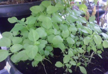 1407546481164950106 1407546481164950106