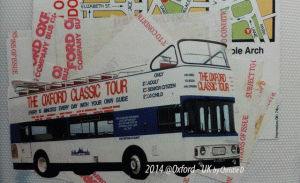 14079929381100837135 14079929381100837135