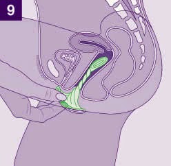 14083657611973439979 14083657611973439979