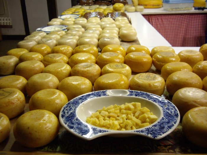 14084259861247092408 14084259861247092408