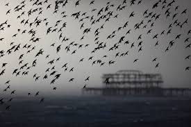 14085057241826256720 14085057241826256720