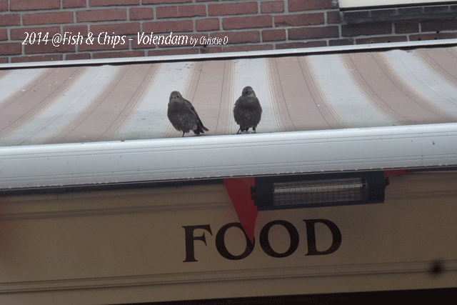 140850616937219333 140850616937219333