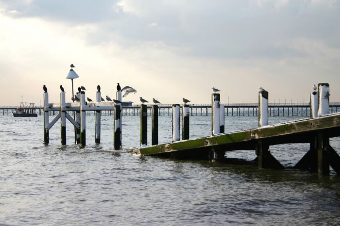 14085064381523006615 14085064381523006615