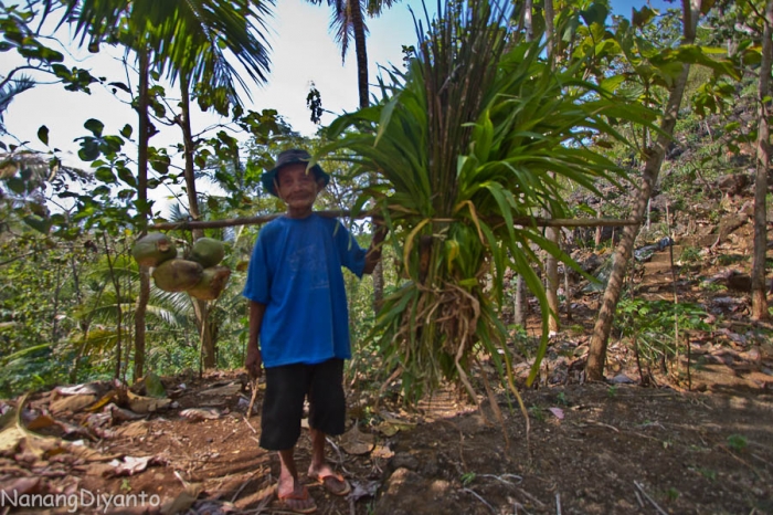 140873270157872982 140873270157872982