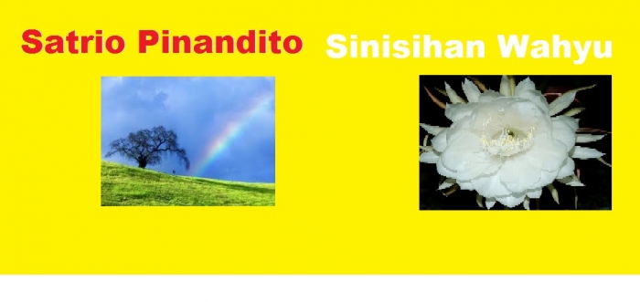 14088720501092751116