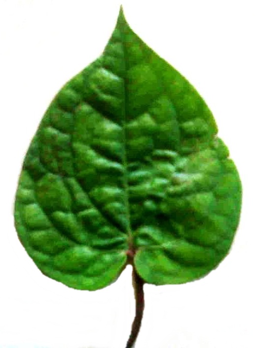 14089092591355163441 14089092591355163441