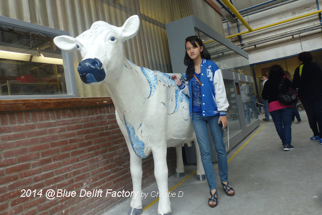 14095527851123407274 14095527851123407274