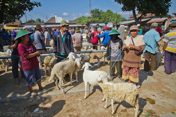 nanangdiyanto@ratjoen.in 1410340944753221510