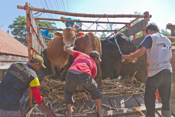 nanangdiyanto@ratjoen.in 1410341333194821761