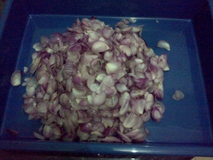 14107709651273677925 14107709651273677925