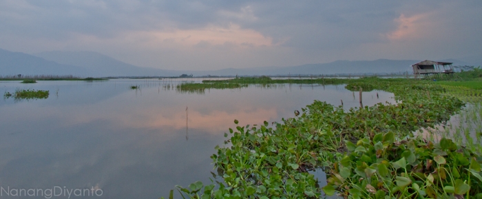 nanangdiyanto@ratjoen.in 14108383332064697412