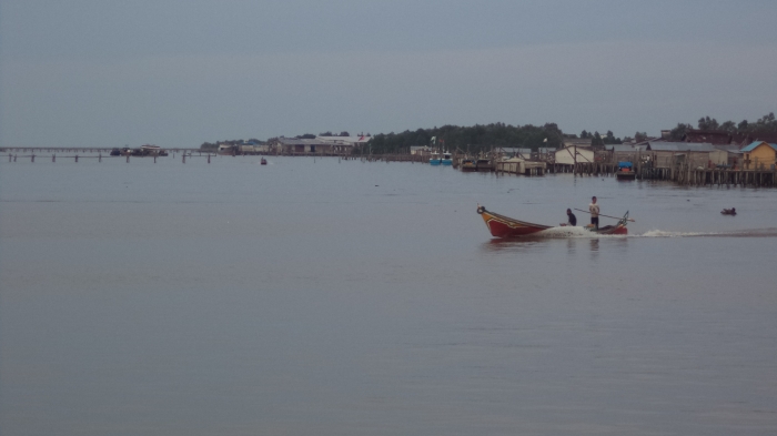 14113979571968415065 14113979571968415065