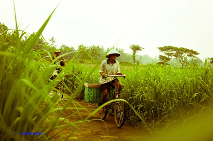 Cerita Petani Dan Mimpi Negara Agraris Kompasiana Com