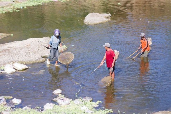 nanangdiyanto@ratjoen.in 1411644956988832759