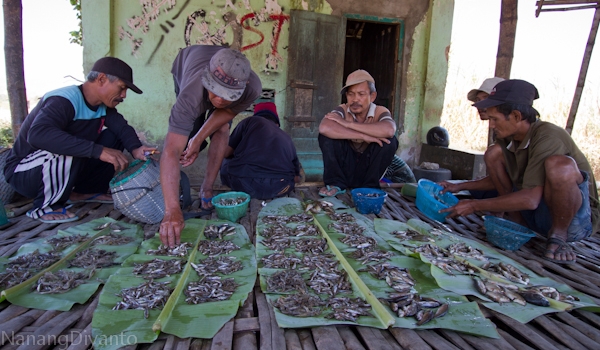 nanangdiyanto@ratjoen.in 1411645130530503827