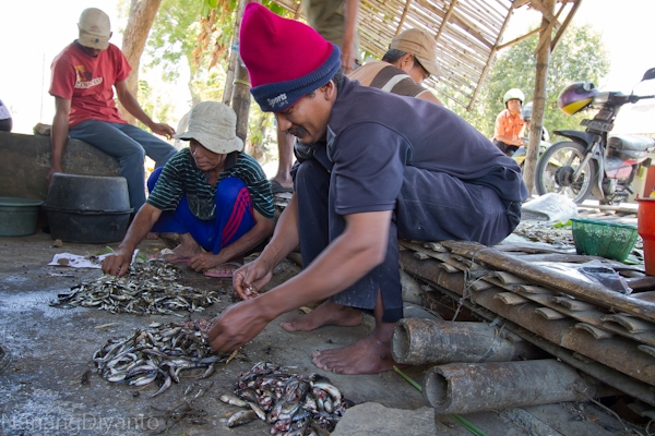 nanangdiyanto@ratjoen.in 14116451952053642286