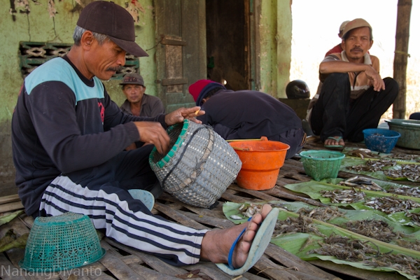 nanangdiyanto@ratjoen.in 141164525243077192