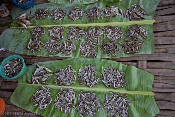 nanangdiyanto@ratjoen.in 14116452921435962395