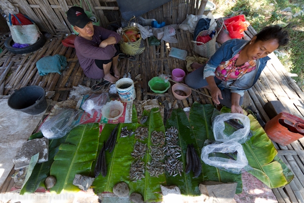 nanangdiyanto@ratjoen.in 14116453451662367436