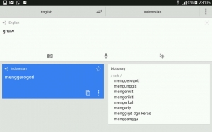 14123945331960772320 14123945331960772320