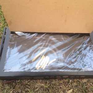 14138652281566862637 14138652281566862637