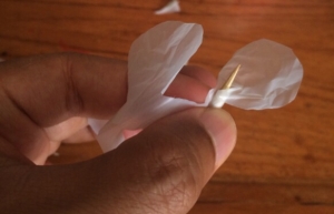 14142005531235569441 14142005531235569441