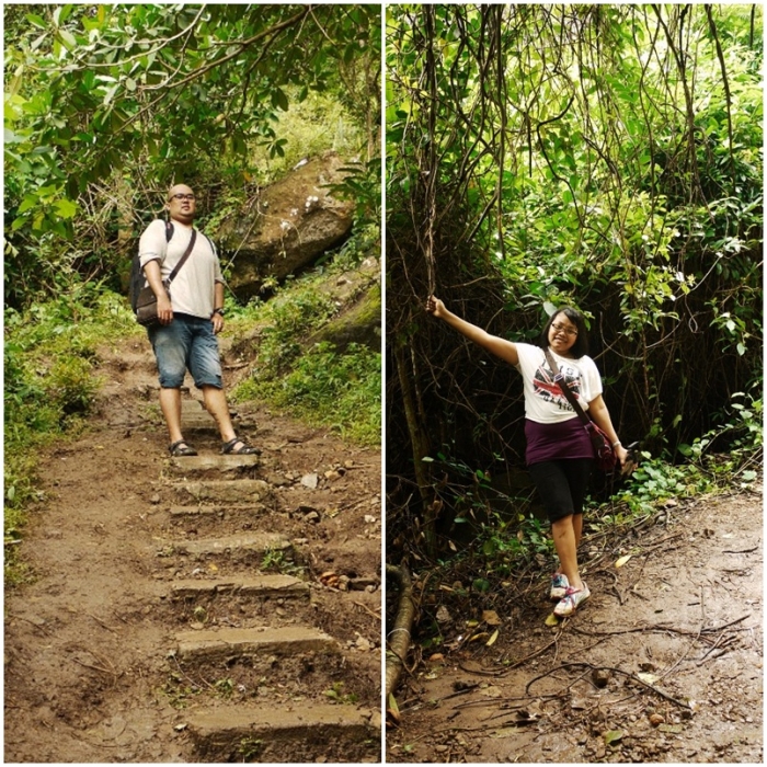 Nuansa Hutan yang Menyejukkan 14157223671305158037