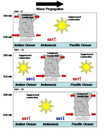 14174295421724403058 14174295421724403058