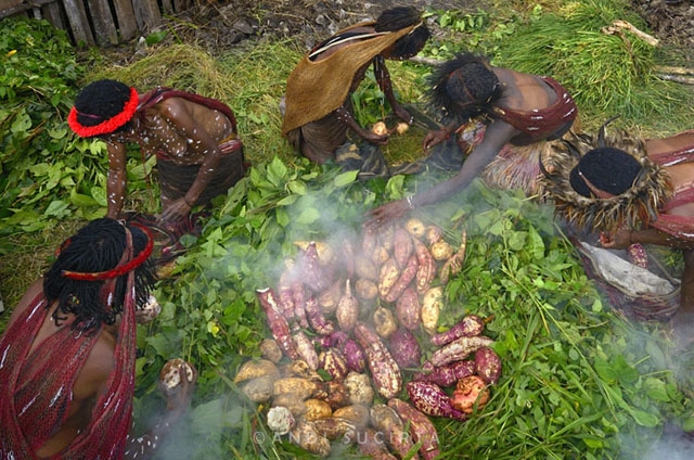 Mengenalkan Budaya Papua : Pesta Bakar Batu - Kompasiana.com
