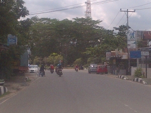 14236364291702132788 14236364291702132788