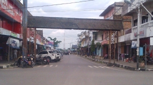 14236370411789129501 14236370411789129501