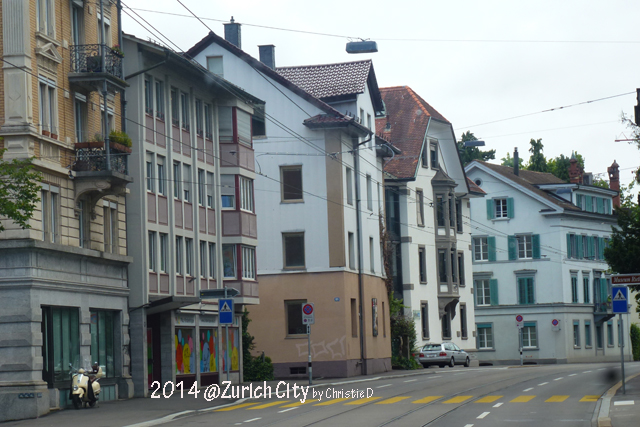 14241544591222126074 14241544591222126074