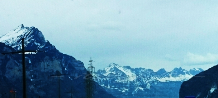 14248095672033225526 14248095672033225526