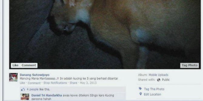 Membuat Status dan Upload gambar setelah menembak kucing 1427128101552944157