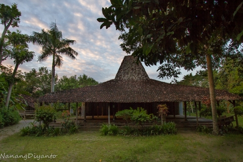 14309293931281394938 14309293931281394938