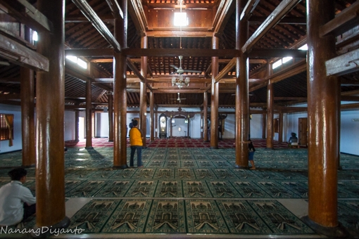 14309302561272504416 14309302561272504416