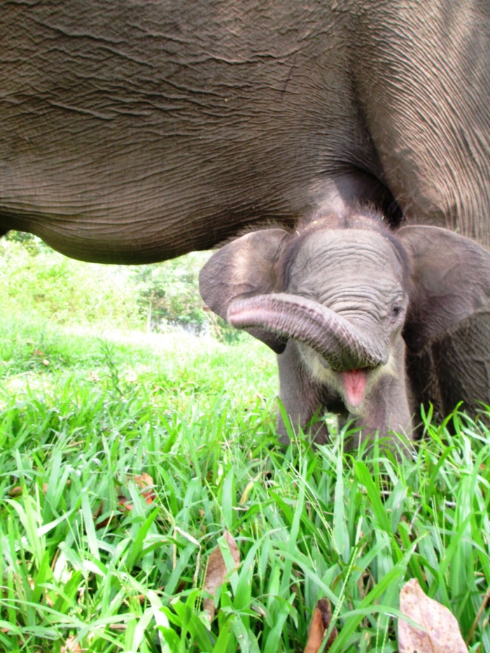 1432777532387739048 1432777532387739048