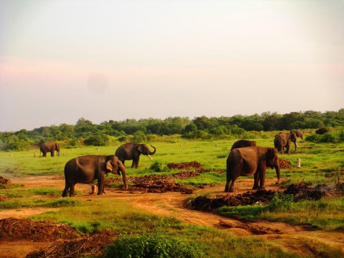 14327813861347280413 14327813861347280413