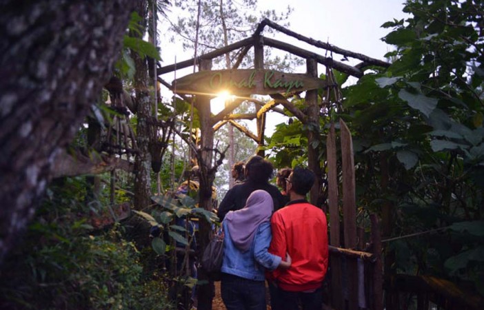 Unik Wisata Alam Sediakan Hotel Kayu di Atas Pohon Unik Wisata Alam Sediakan Hotel Kayu di Atas Pohon