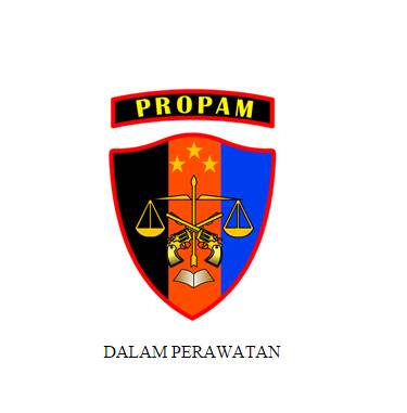 Website PROPAM POLRI Diretas Hacker - Kompasiana.com