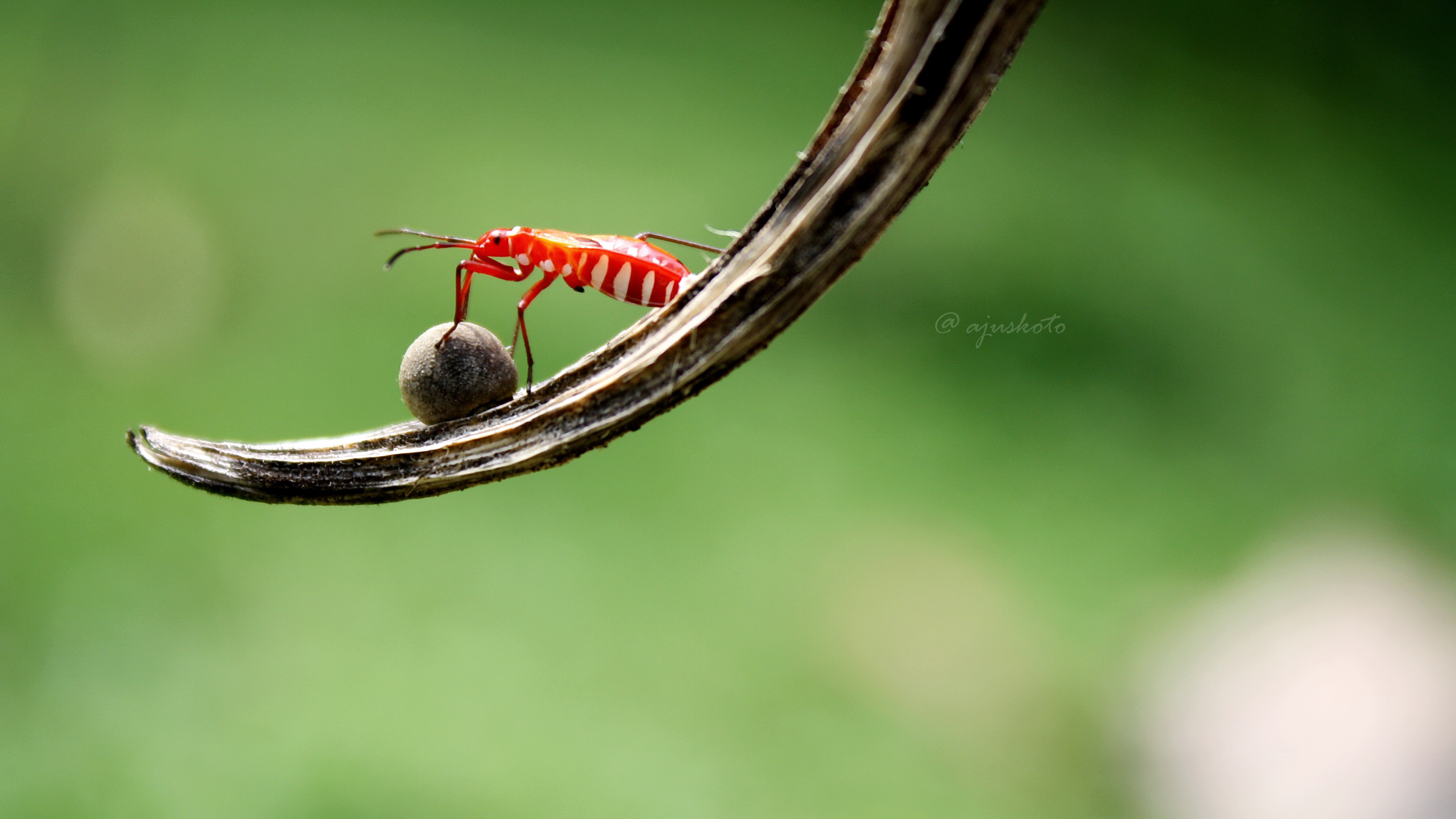 Menikmati Dunia Fotografi Minimalis Halaman 2 Kompasiana com Menikmati Dunia Fotografi Minimalis Halaman 2 Kompasiana com