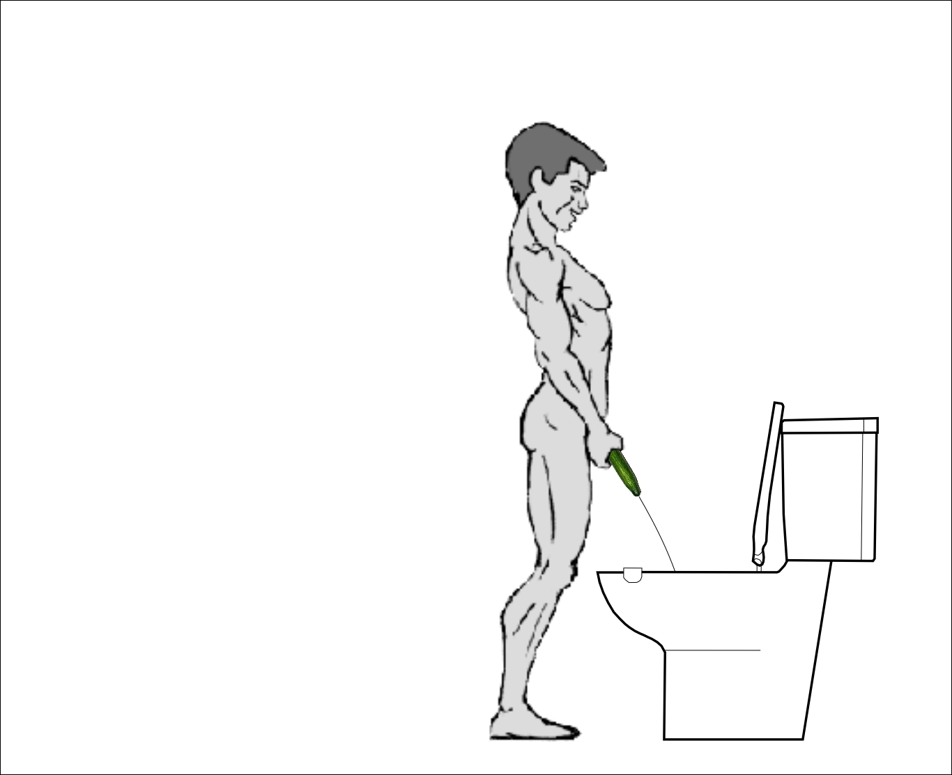 Tips Pria Buang Air Kecil Saat Ereksi Oleh Indra Wibisana Tips Pria Buang Air Kecil Saat Ereksi Oleh Indra Wibisana