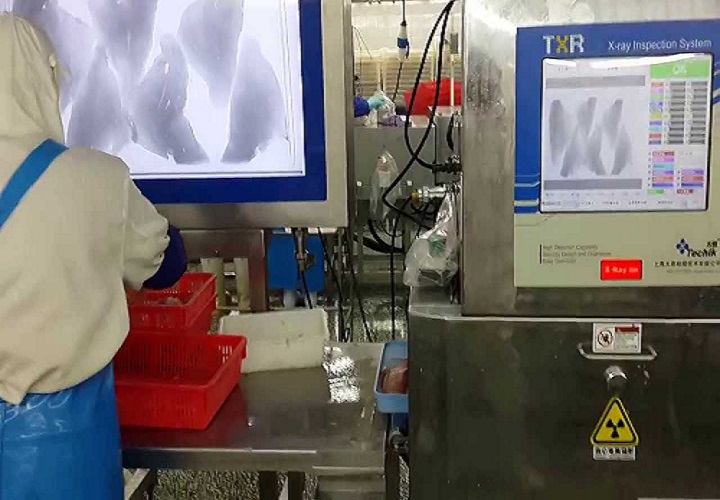 Ray Fishbone Mendeteksi Tulang Ikan dengan X Ray Fishbone ? - Kompasiana.com