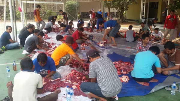 Bagian pencacahan saling bekerjasama agar daging segera dibagikan
