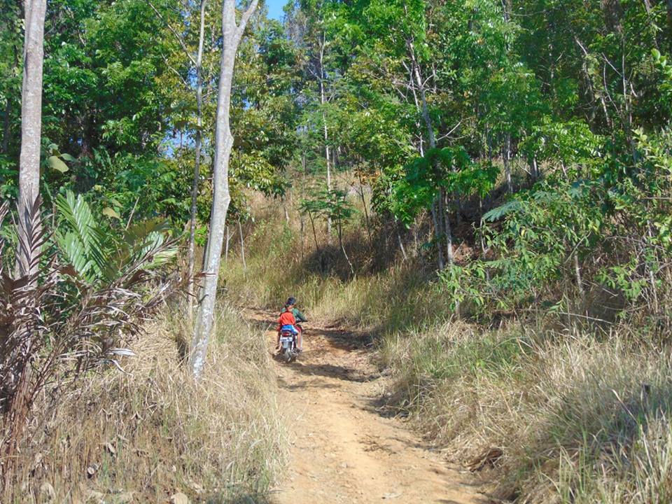 Jalan Beralaskan Tanah Merah Di Sukalilah Cimande Imbas