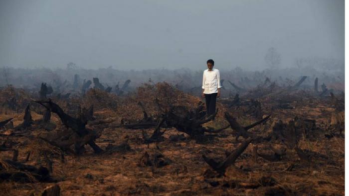 Jokowi Berada di tengah-tengah Kepulan Asap dan Lahan hijjau yang terbakar/Kompas.com