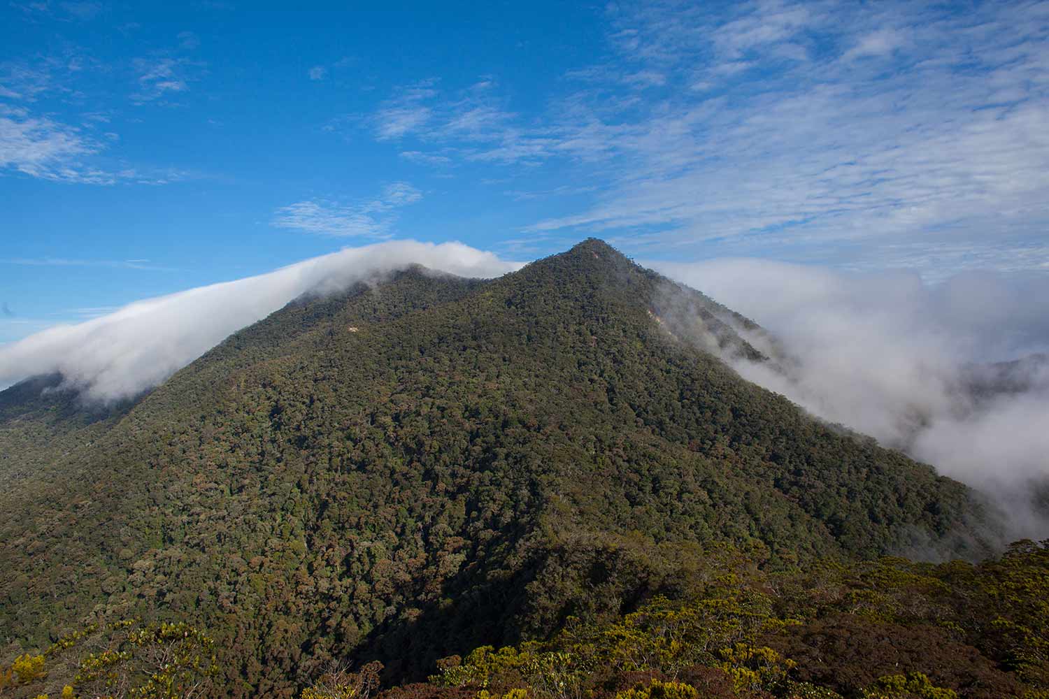 Gunung Trusmadi (Sumber: stickyricetravel.com)
